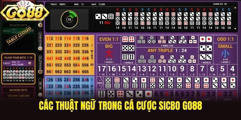 Các thuật ngữ trong cá cược Sicbo Go88