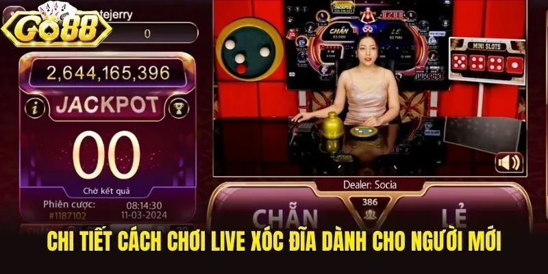 Chi tiết cách chơi live Xóc Đĩa dành cho người mới