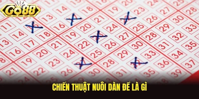 Chiến thuật nuôi dàn đề là gì