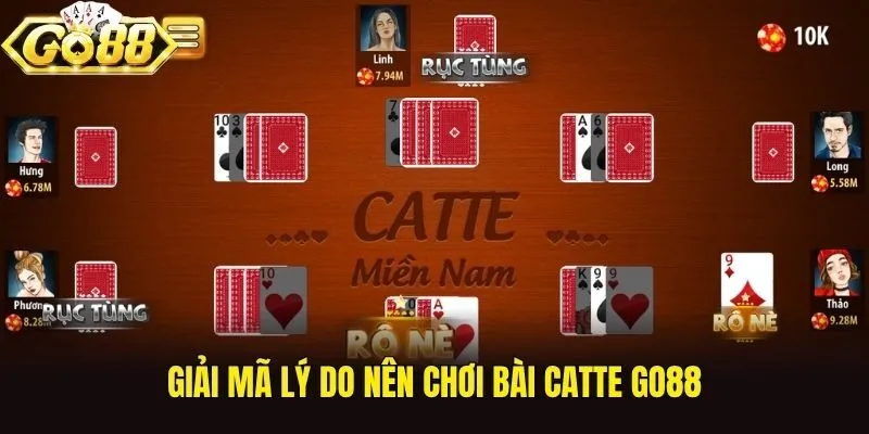 Giải mã lý do nên chơi bài catte Go88