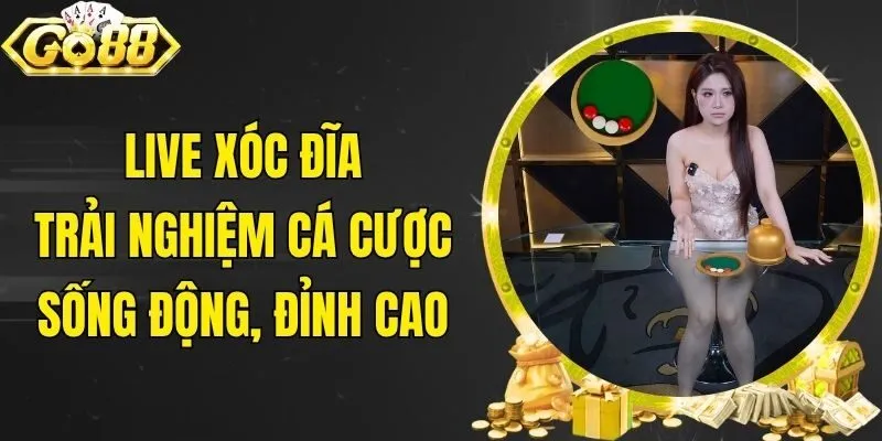 Live Xóc Đĩa - Trải Nghiệm Cá Cược Sống Động, Đỉnh Cao