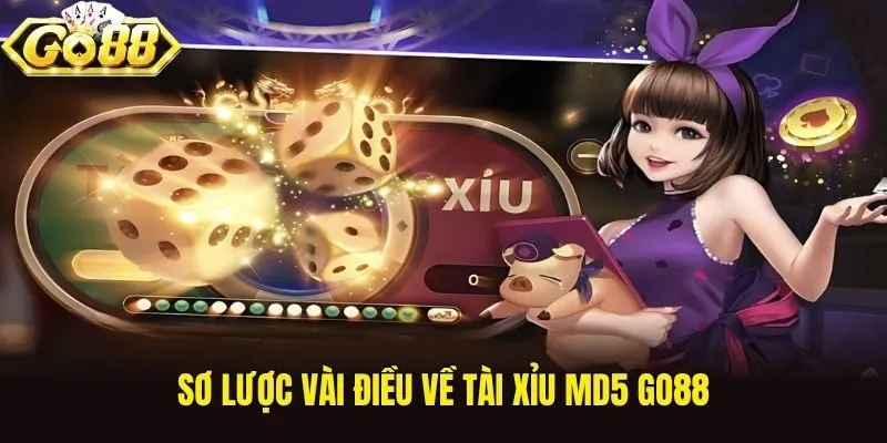 Sơ lược vài điều về Tài Xỉu MD5 Go88